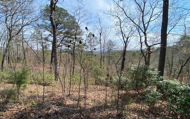 Lot 28 28 Brasstown Trails Property Photo 1