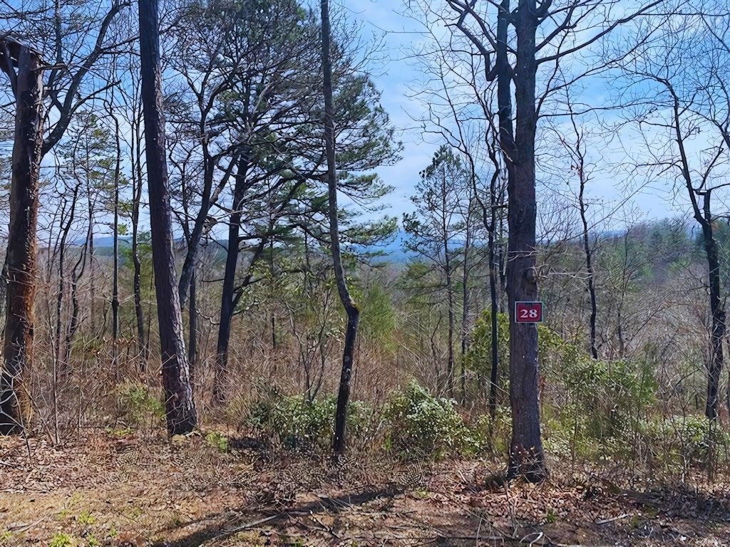 Lot 28 28 Brasstown Trails Property Photo 3