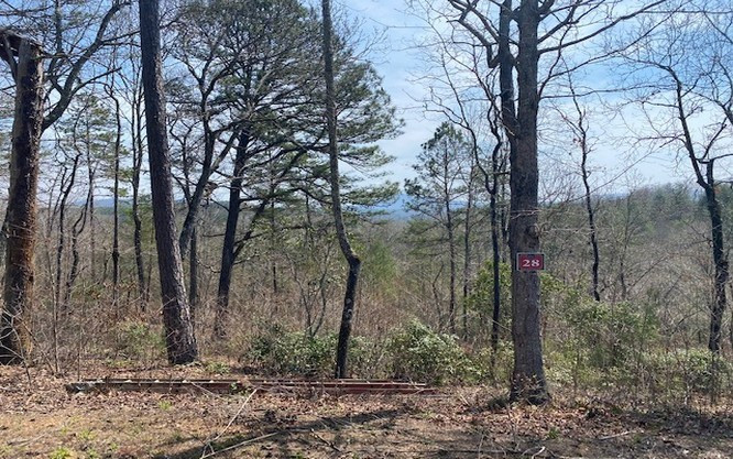 Lot 28 28 Brasstown Trails Property Photo 4