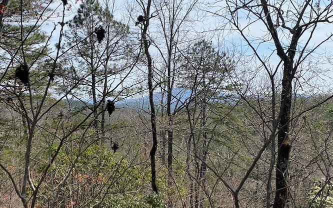Lot 28 28 Brasstown Trails Property Photo 5