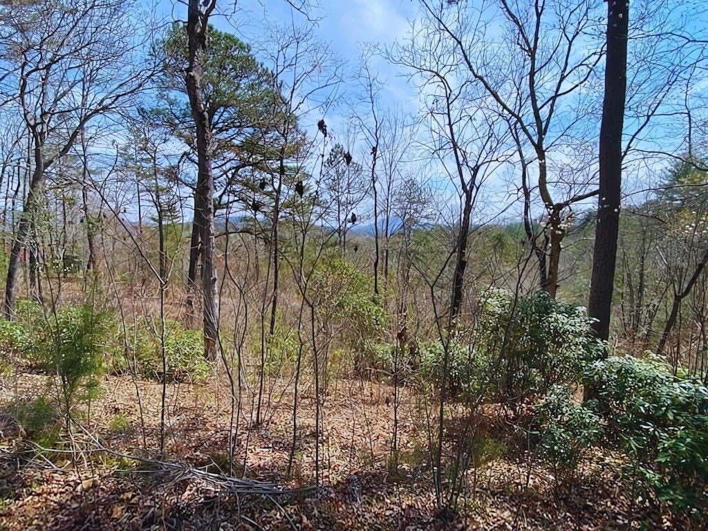 Lot 28 28 Brasstown Trails Property Photo 7