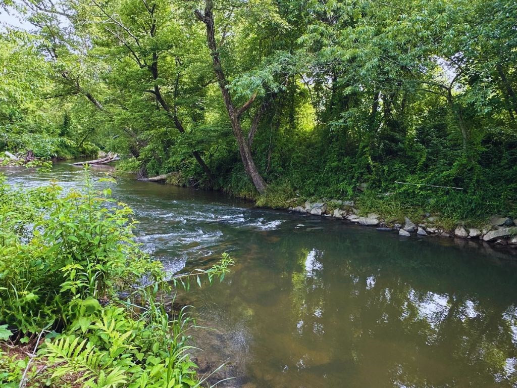 Lot 28 28 Brasstown Trails Property Photo 12