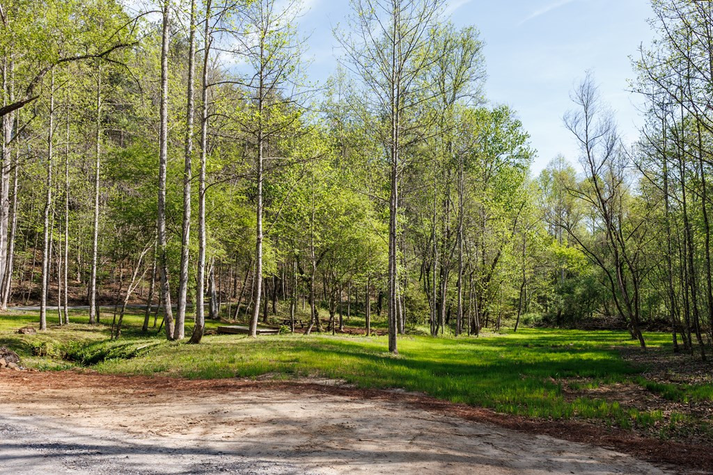 342 Hunter Ridge Property Photo 67
