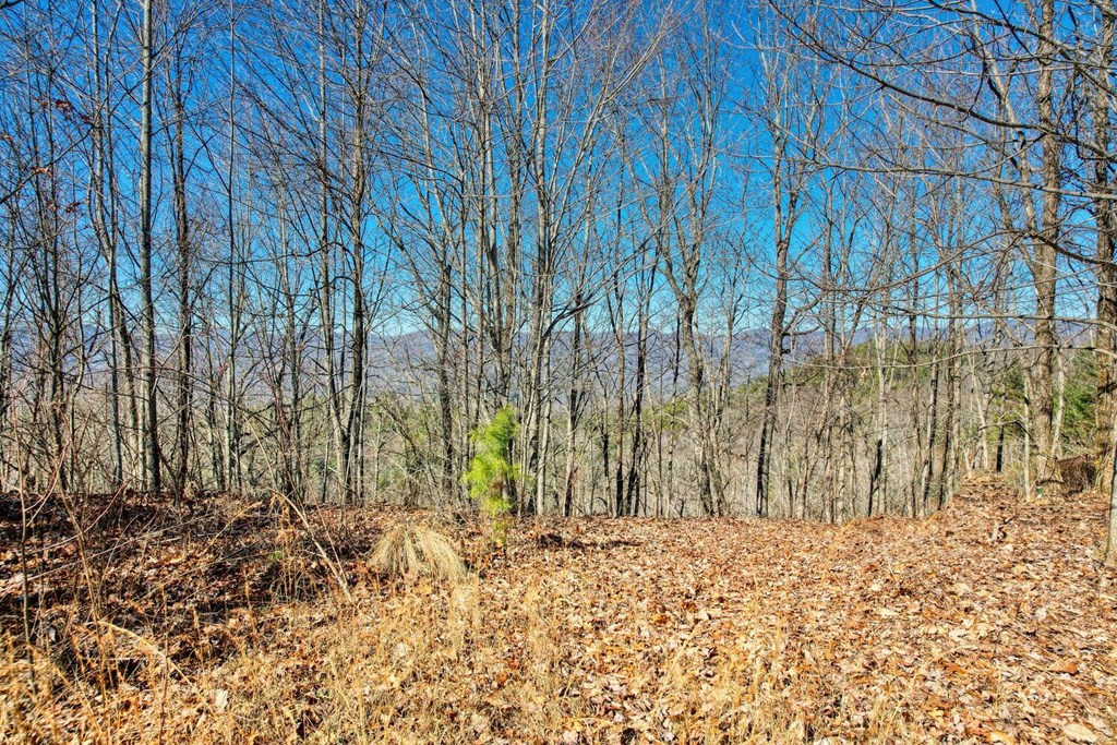 1441 Valley View Heights Lane Property Photo 7