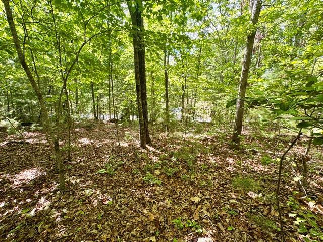 Lt 3 Rockridge Road Property Photo 2