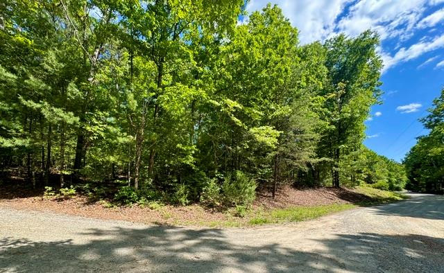 Lt 3 Rockridge Road Property Photo 3
