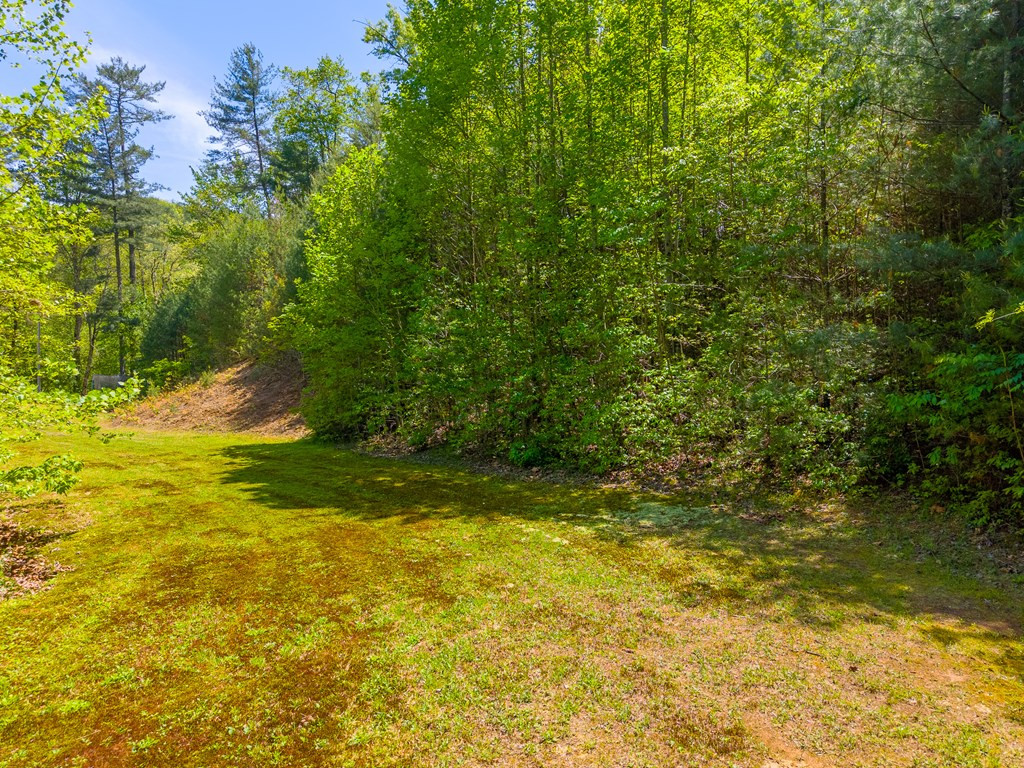 1364 Atoah Road Property Photo 50