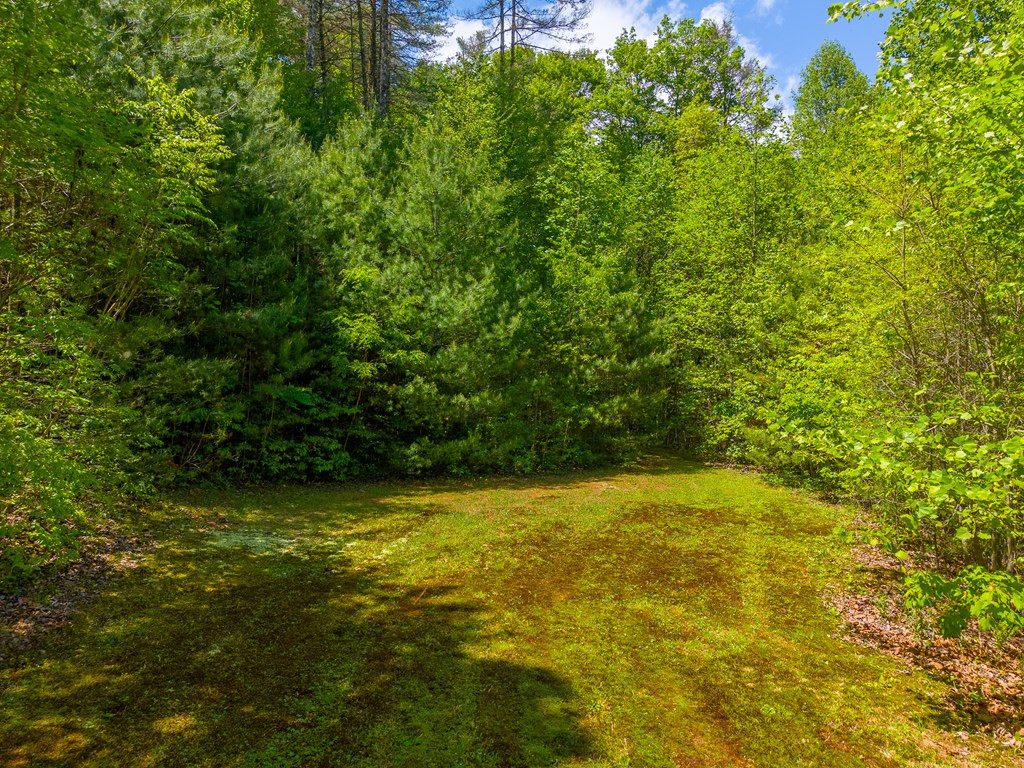 1364 Atoah Road Property Photo 51