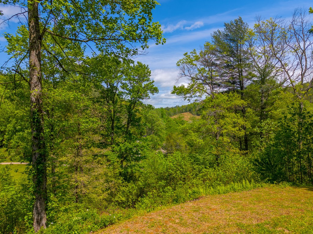 1364 Atoah Road Property Photo 52