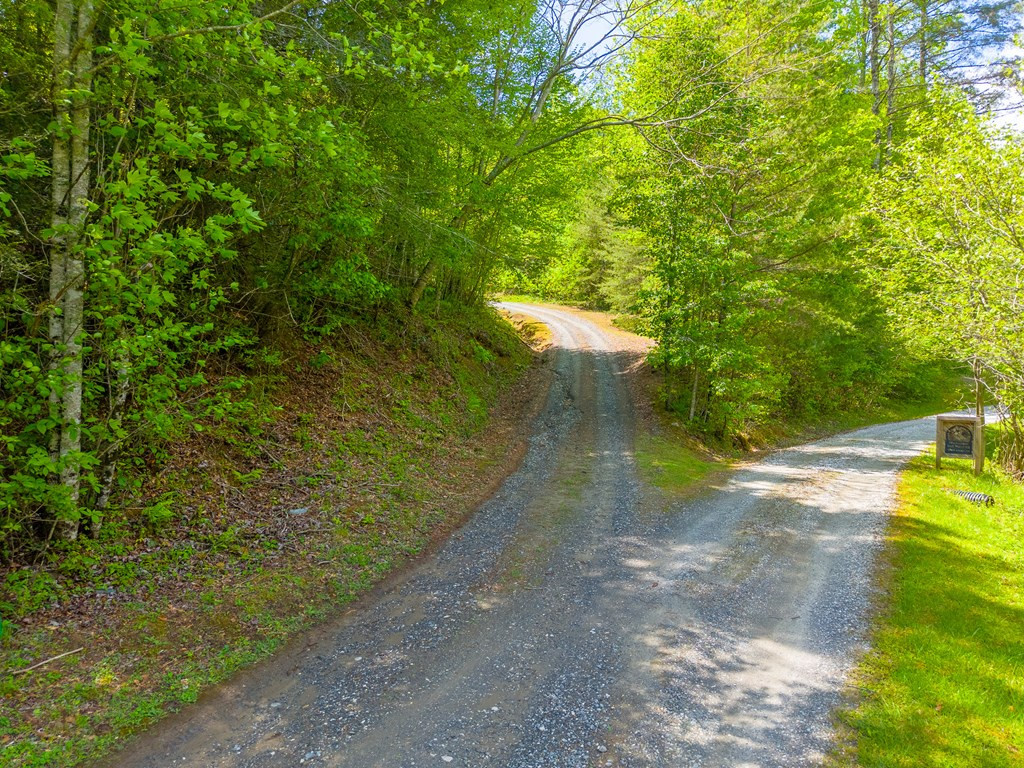 1364 Atoah Road Property Photo 53