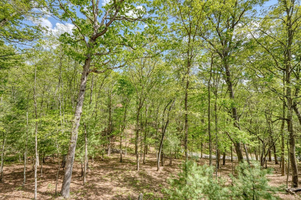100 Fern Cove Lane Property Photo 20