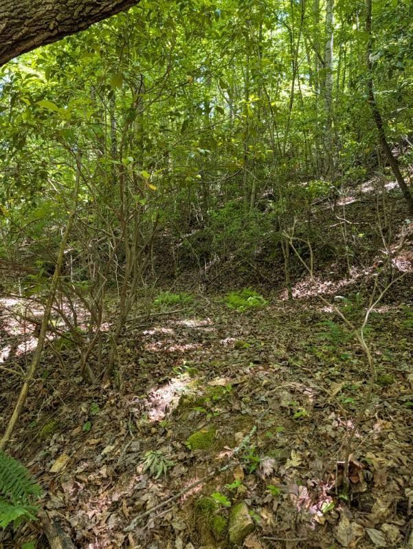 00 Talc Mine Road Property Photo 1