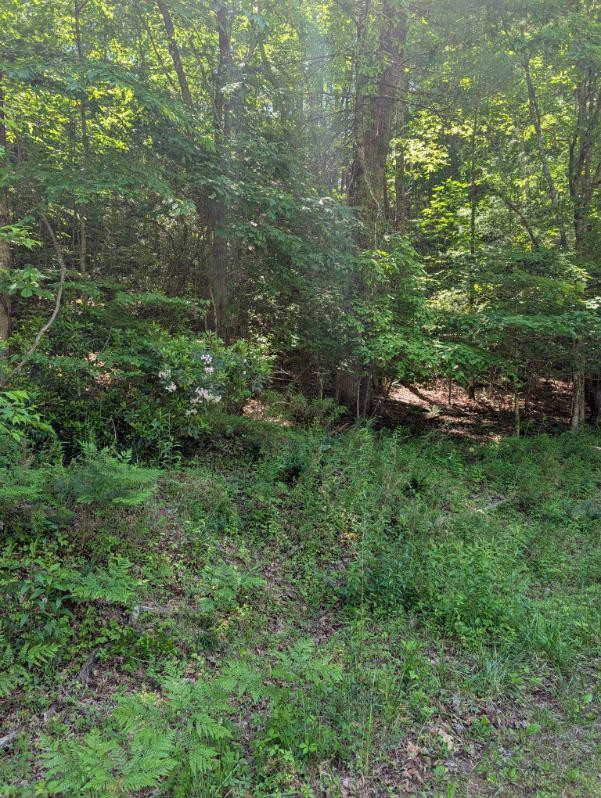 00 Talc Mine Road Property Photo 2