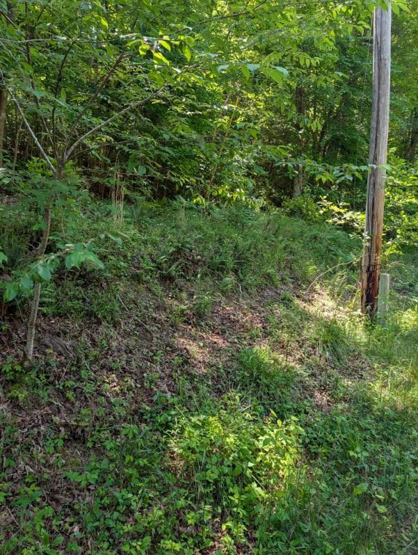 00 Talc Mine Road Property Photo 3