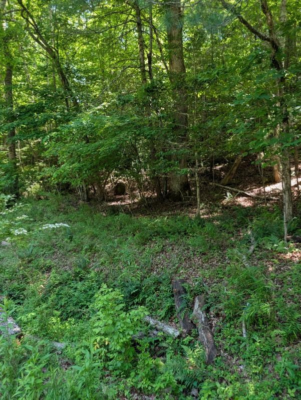 00 Talc Mine Road Property Photo 4