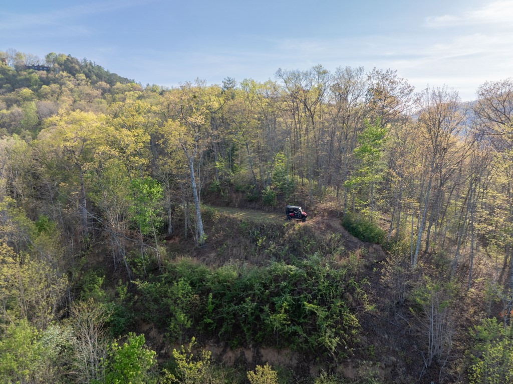 8888 Yellow Branch Road Property Photo 3
