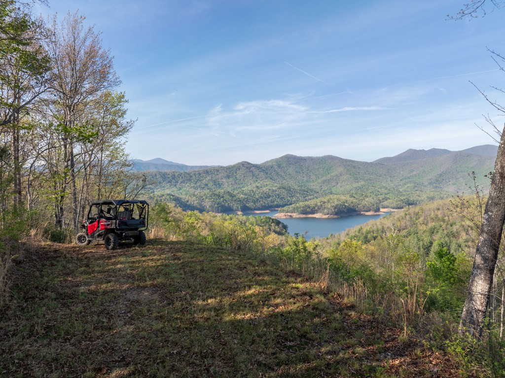 8888 Yellow Branch Road Property Photo 4