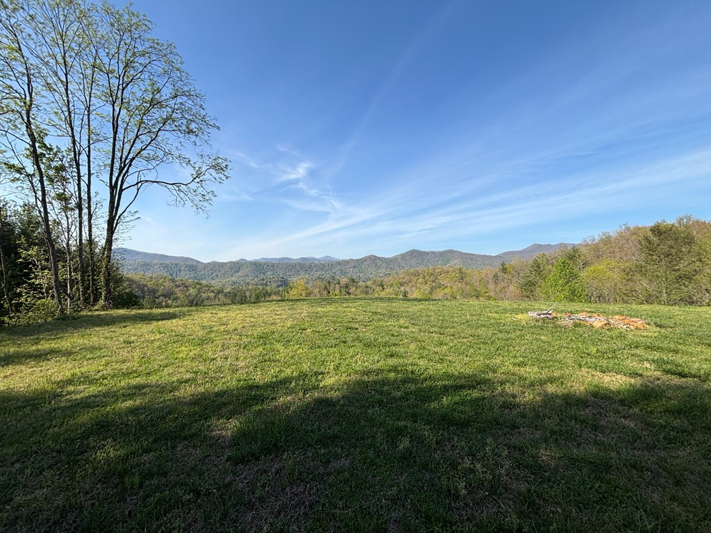 8888 Yellow Branch Road Property Photo 9