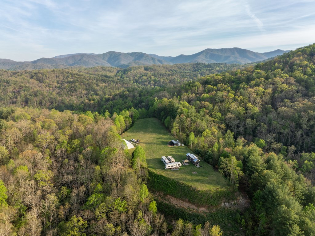 8888 Yellow Branch Road Property Photo 12