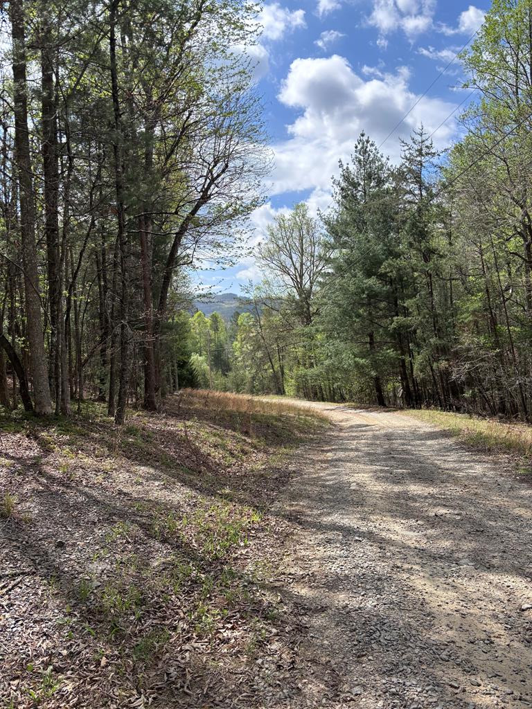 140 Hounds Run Lane Property Photo 1