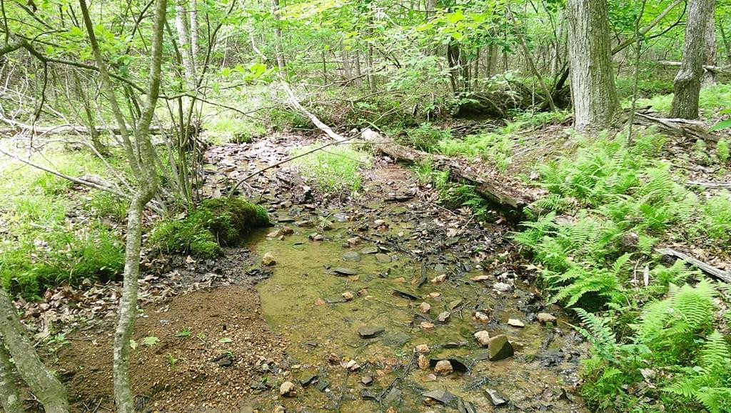 00 Tracks Hollow Property Photo 1
