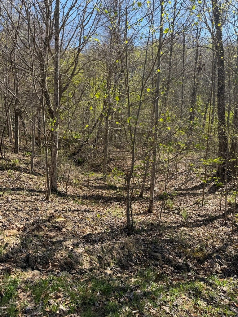 Lot 16-n High Meadows Drive Property Photo 6