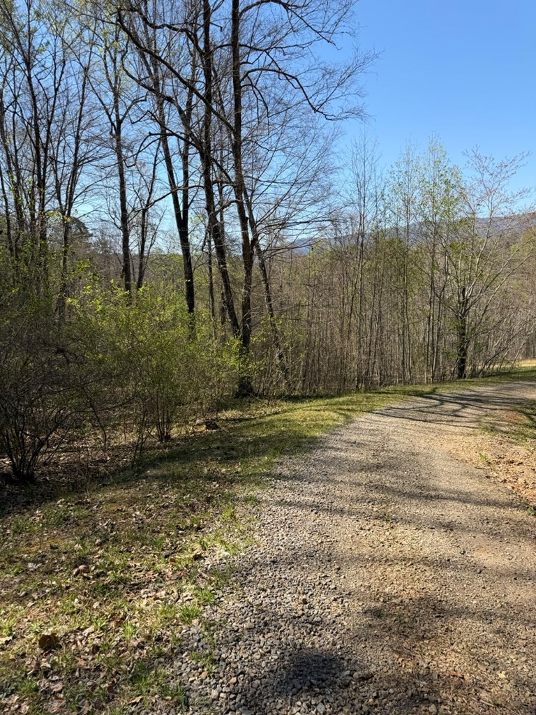 Lot 16-n High Meadows Drive Property Photo 8