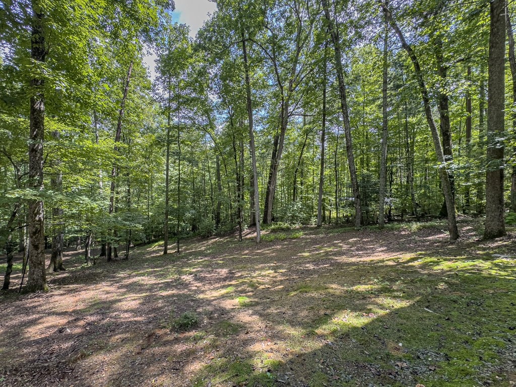89 Box Turtle Lane Property Photo 14