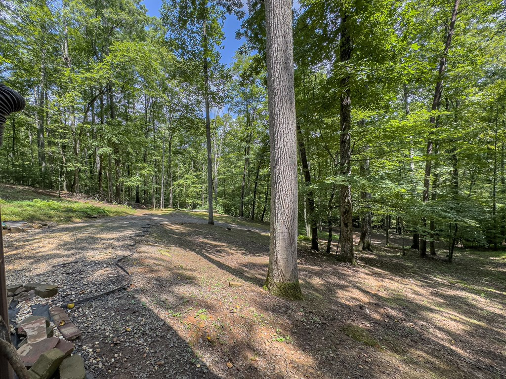 89 Box Turtle Lane Property Photo 15