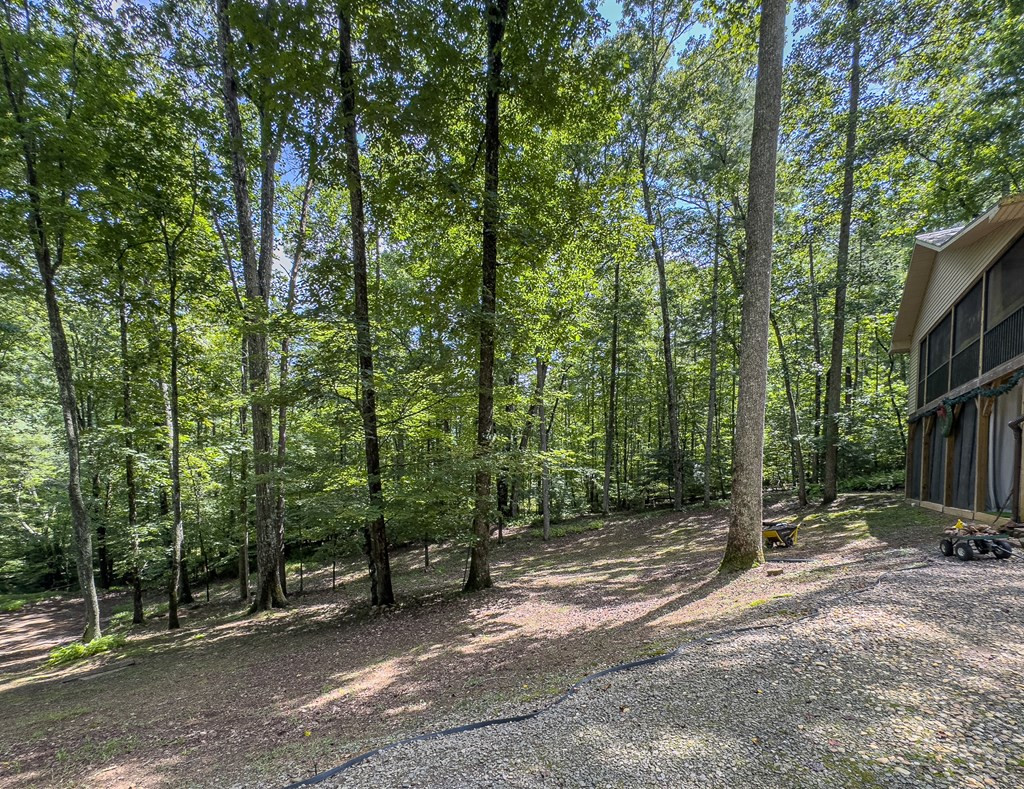 89 Box Turtle Lane Property Photo 16