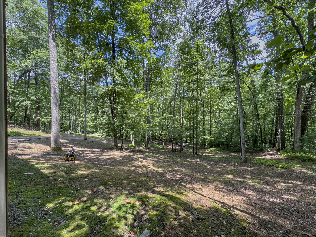 89 Box Turtle Lane Property Photo 17