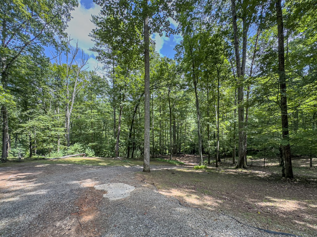 89 Box Turtle Lane Property Photo 45