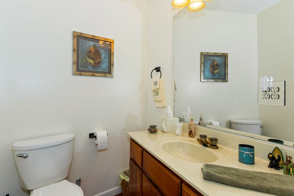 87 Snowbird Lane Property Photo 19