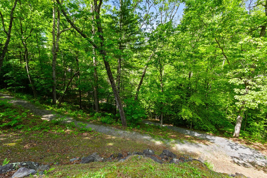 87 Snowbird Lane Property Photo 74