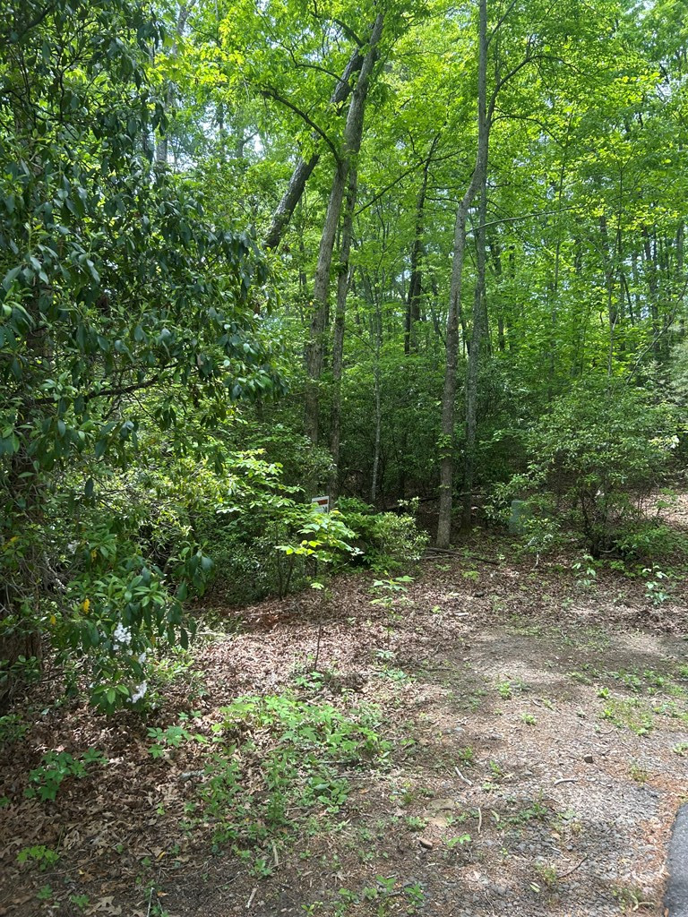 00 9 Property Photo 2