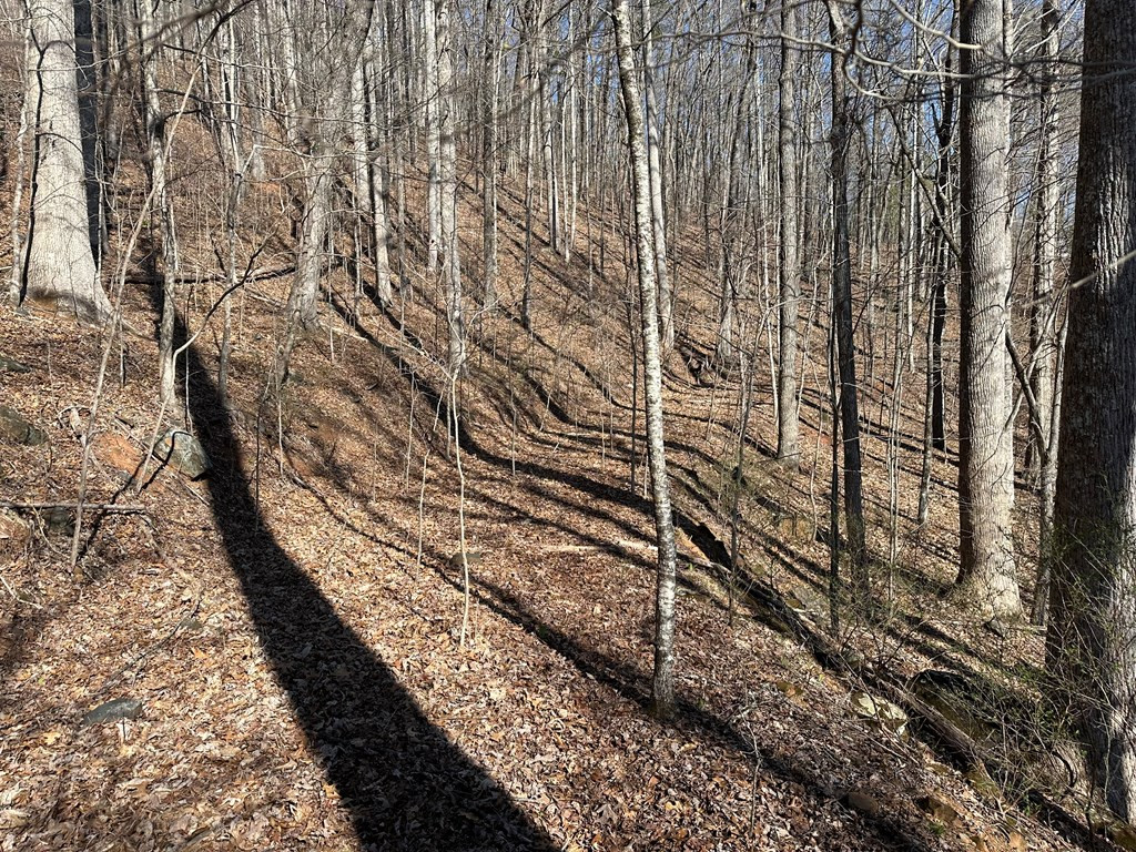 Lot 80 80 Asheland Cove Property Photo 2