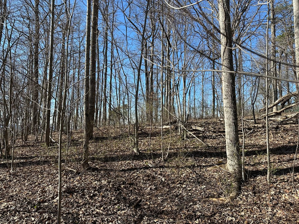 Lot 80 80 Asheland Cove Property Photo 3