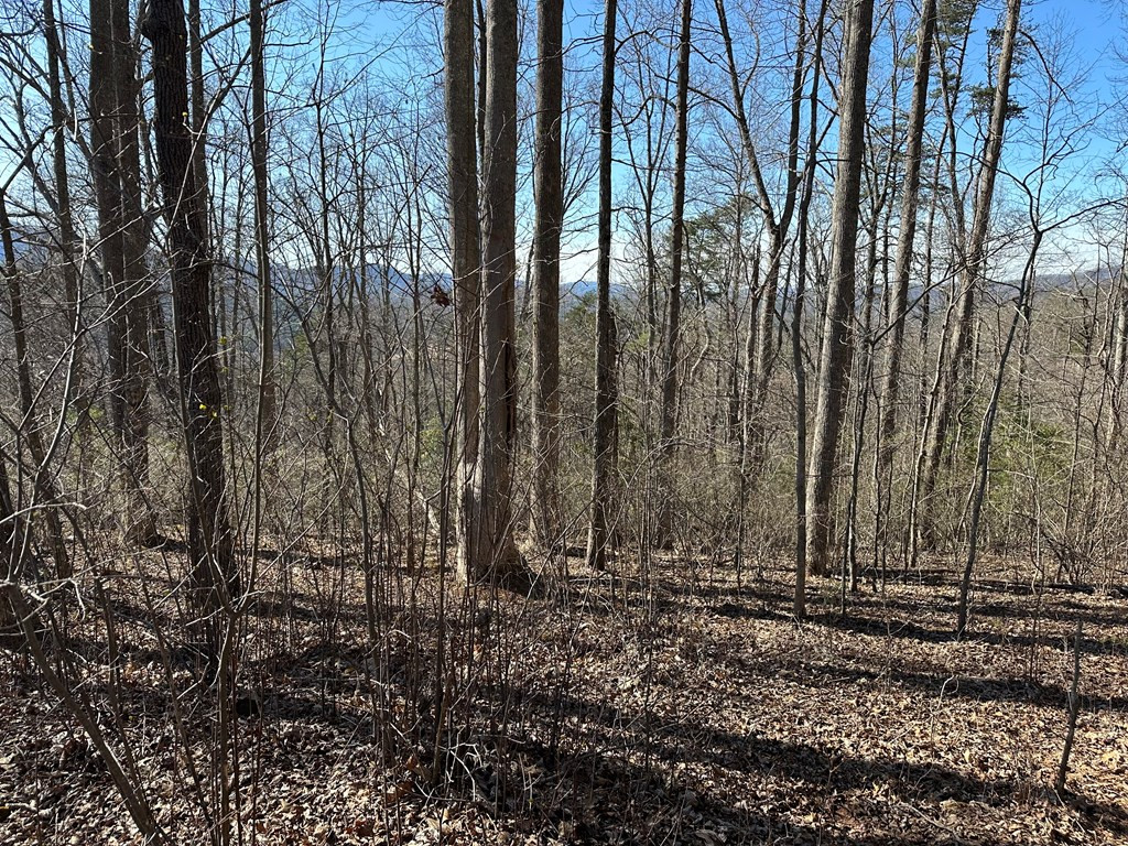 Lot 80 80 Asheland Cove Property Photo 4