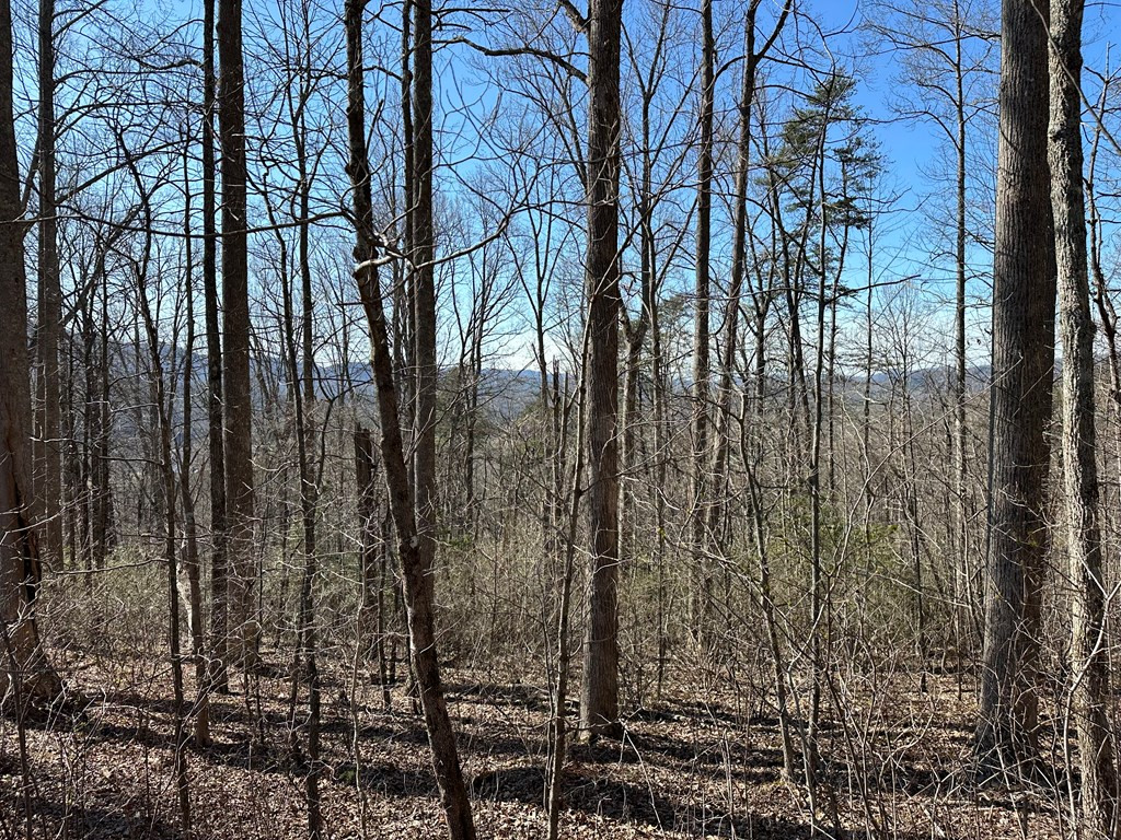 Lot 80 80 Asheland Cove Property Photo 5