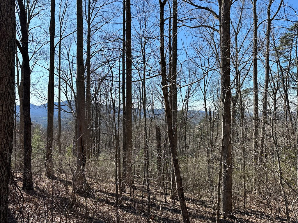 Lot 80 80 Asheland Cove Property Photo 6