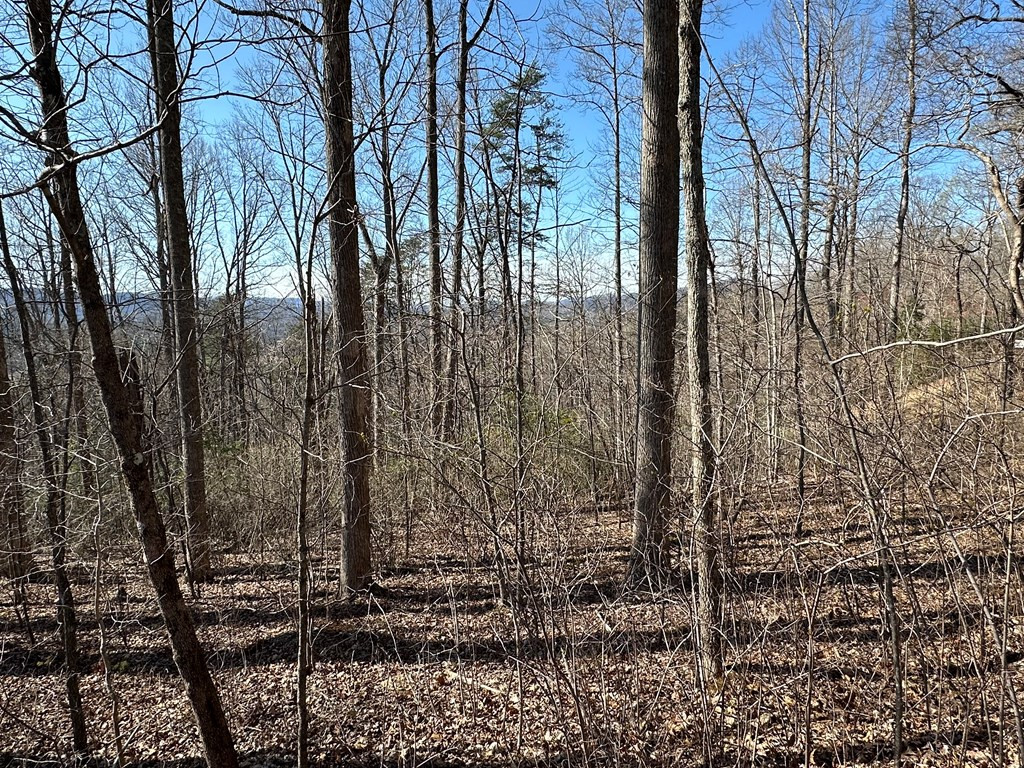 Lot 80 80 Asheland Cove Property Photo 9