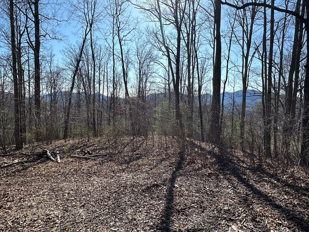 Lot 80 80 Asheland Cove Property Photo 10