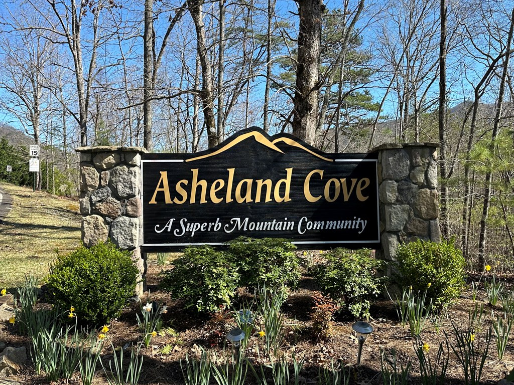 Lot 80 80 Asheland Cove Property Photo 11