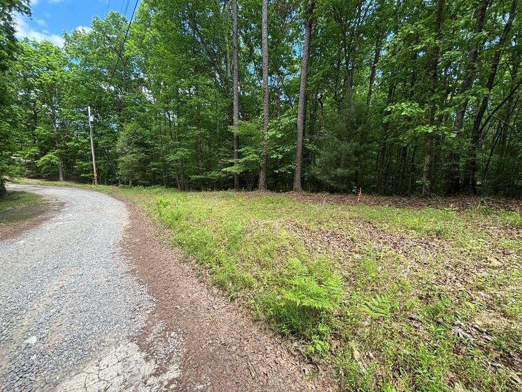 Lot 1b 1b Forest Lane Property Photo 1