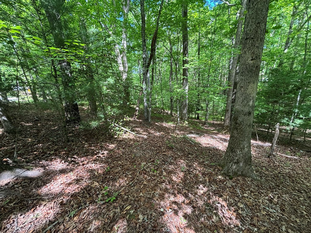 Lot 1b 1b Forest Lane Property Photo 9
