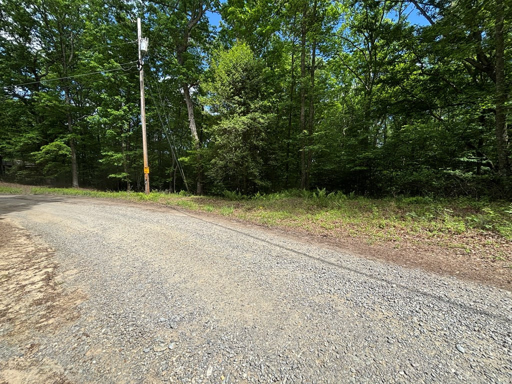 Lot 1b Forest Lane Property Photo 3