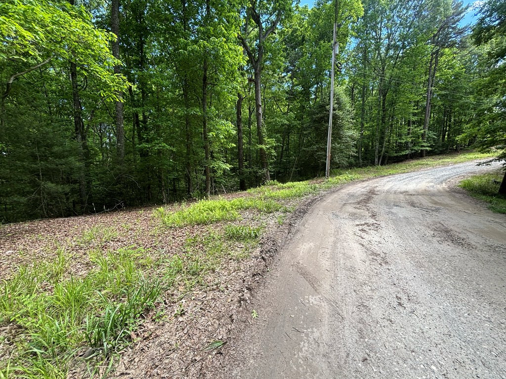 Lot 1b Forest Lane Property Photo 4