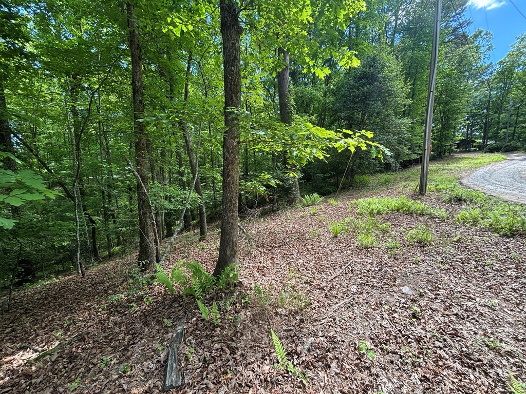 Lot 1b Forest Lane Property Photo 5
