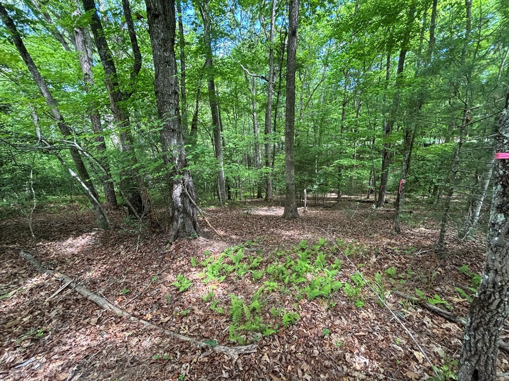 Lot 1b Forest Lane Property Photo 8