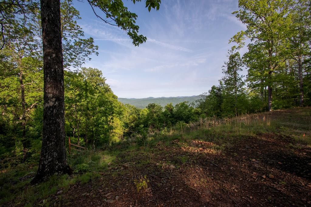 43/44 43/44 Timberwood Mountain Estates